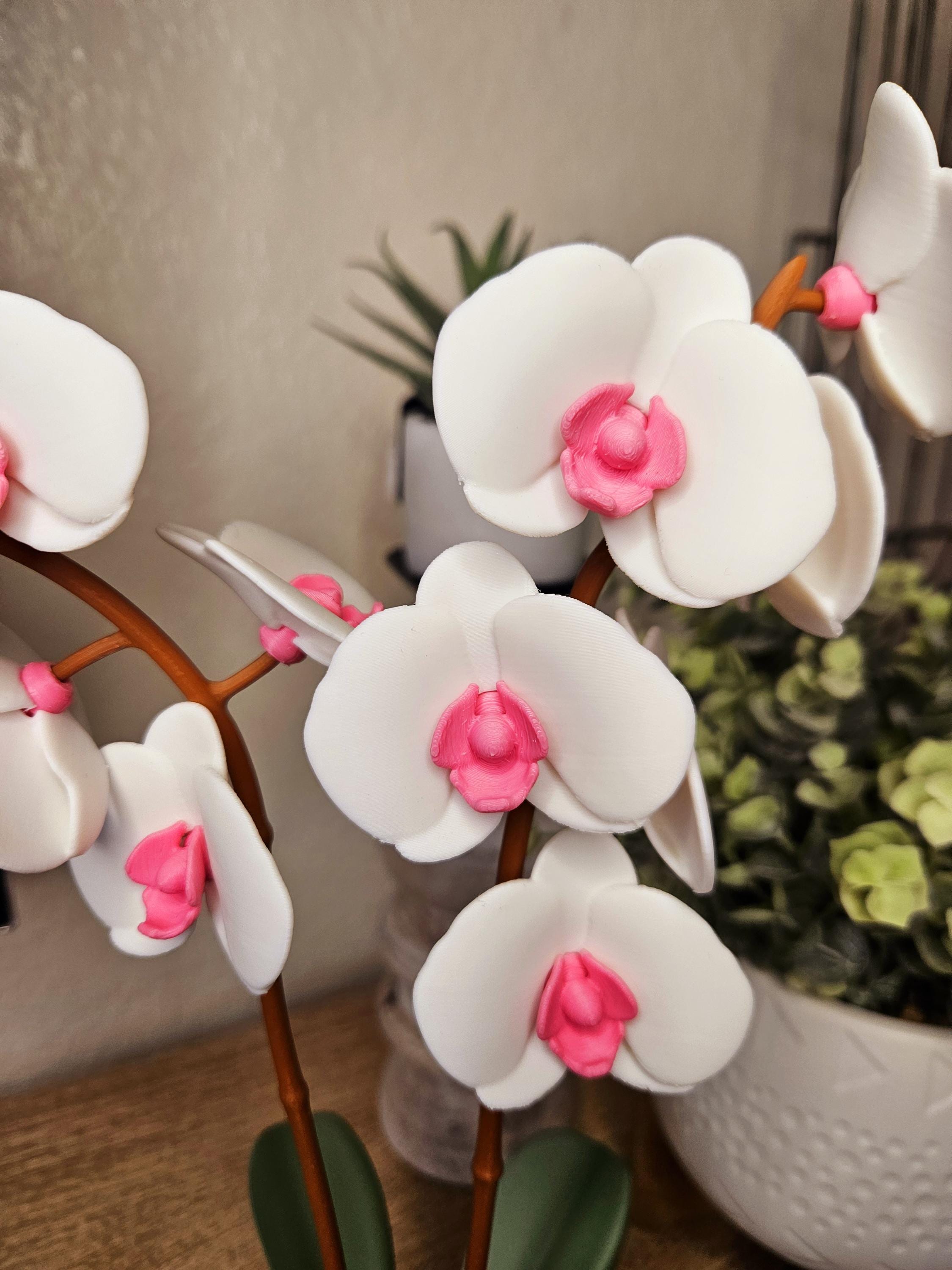 Home & Living :: Home Decor :: Aromatic Orchid Oil Diffuser – 9.5