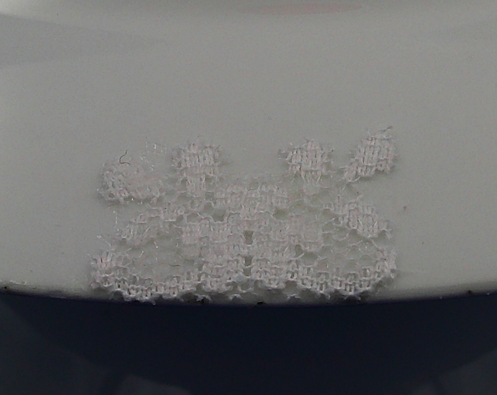 This is the lace covering the blemish on the underside of the plate. This is the lace covering the blemish on the underside of the plate.