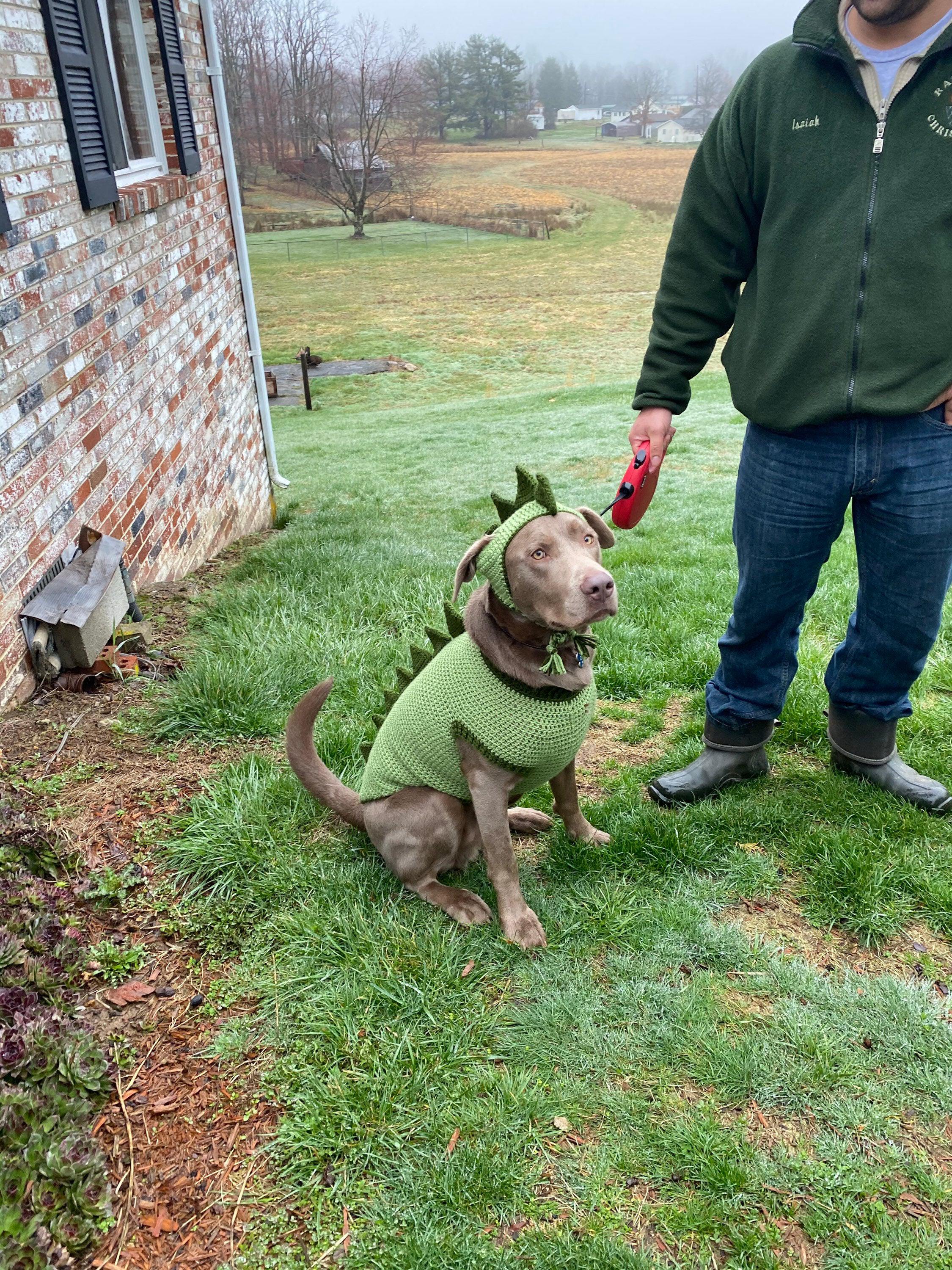 dinosaur dog sweater