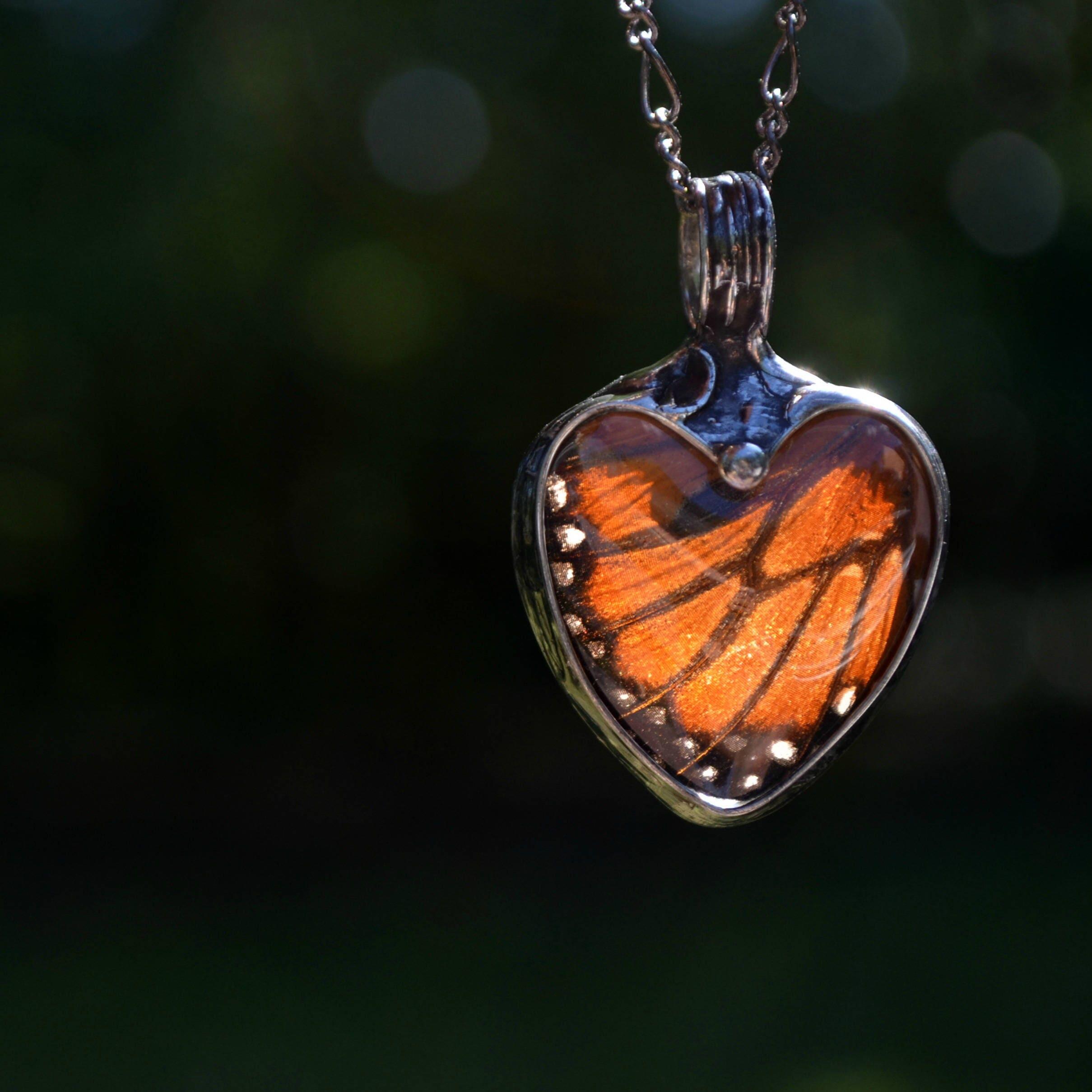 Butterfly retailer real wings one of a kind Necklace, natures Jewelry - pendant - white - brown, Vintage hand carved beads, cijsale