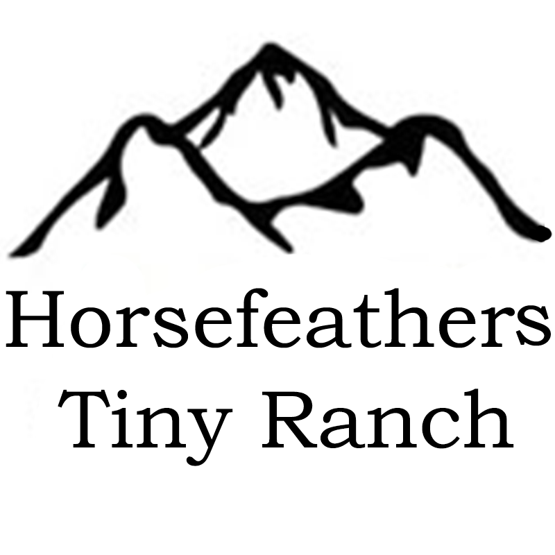 Shops Horsefeathers Tiny Ranch