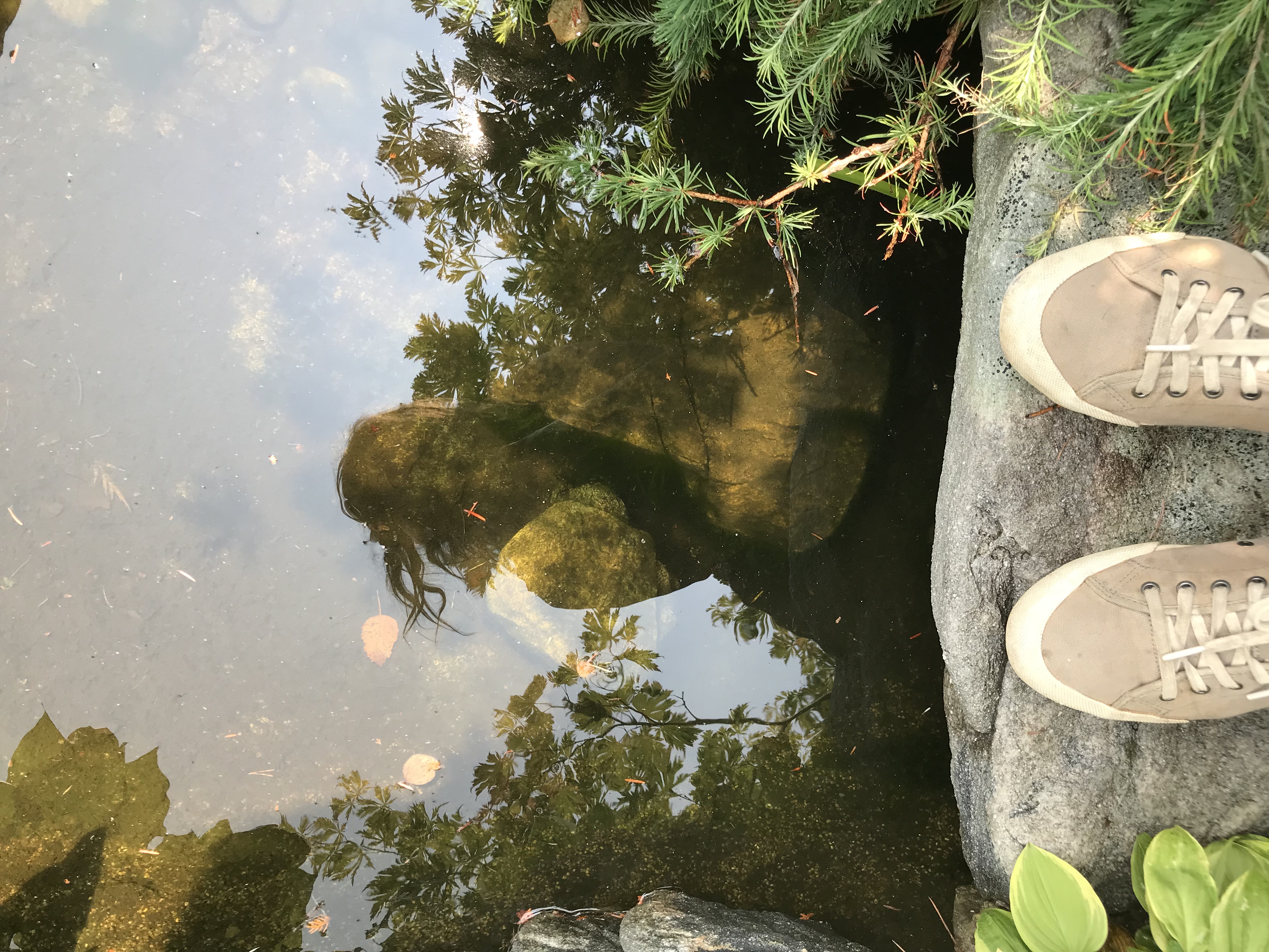 Artist stand on the edge of a shallow pond. Canvas shoes can be seen as can the rough reflection of the artist in the water along with light refracting against algae covered stones underwater