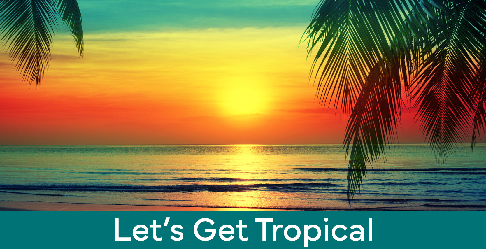 Maker Challenge: Let's Get Tropical