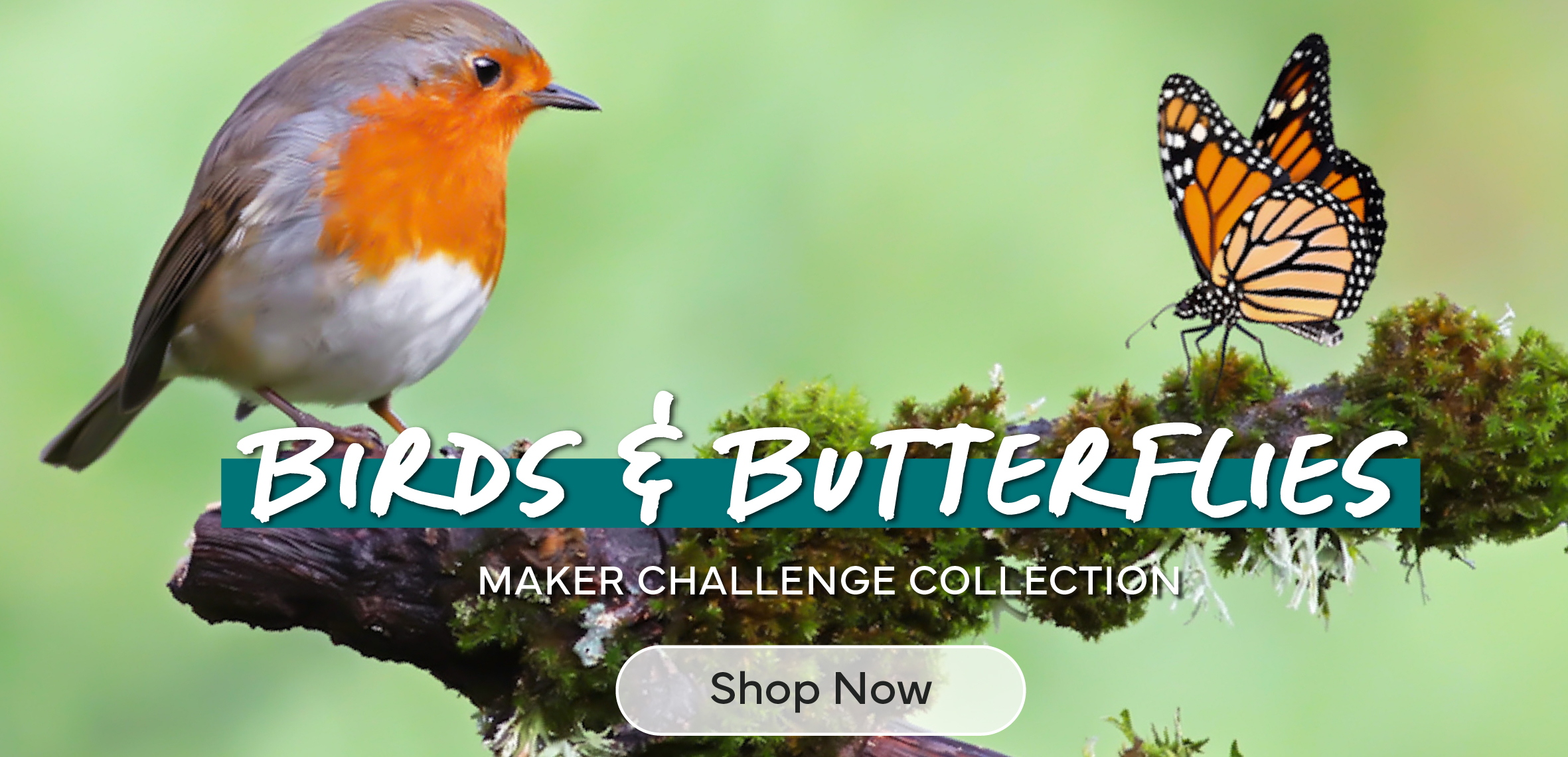 Birds & Butterflies Maker Challenge