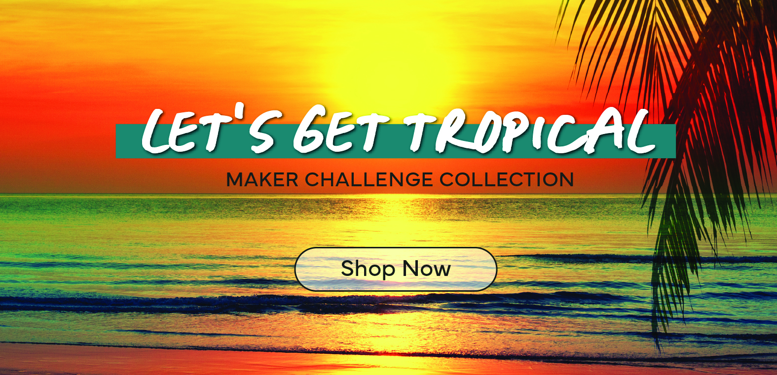 Let's Get Tropical Collection