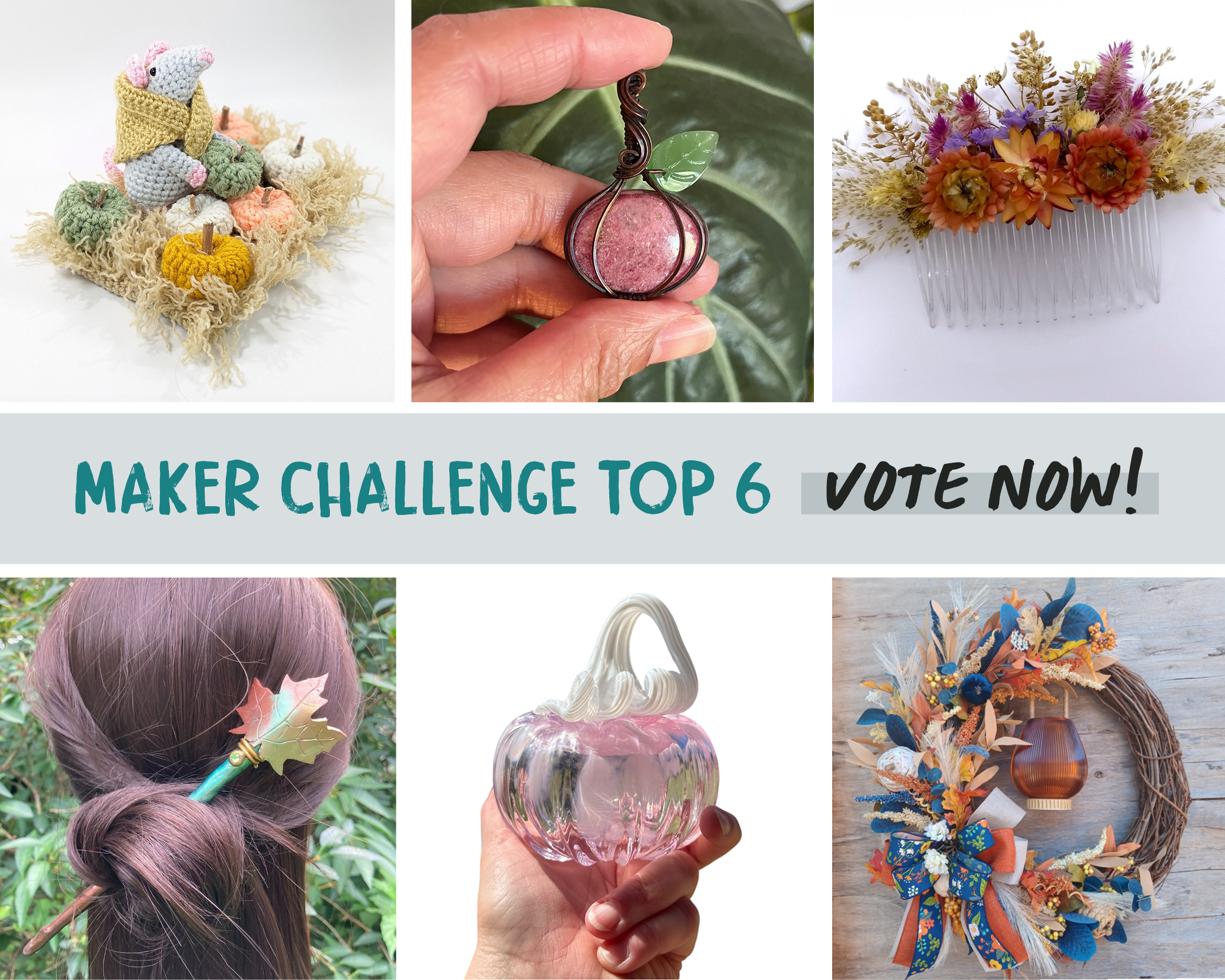 Maker Challenge Top Submissions