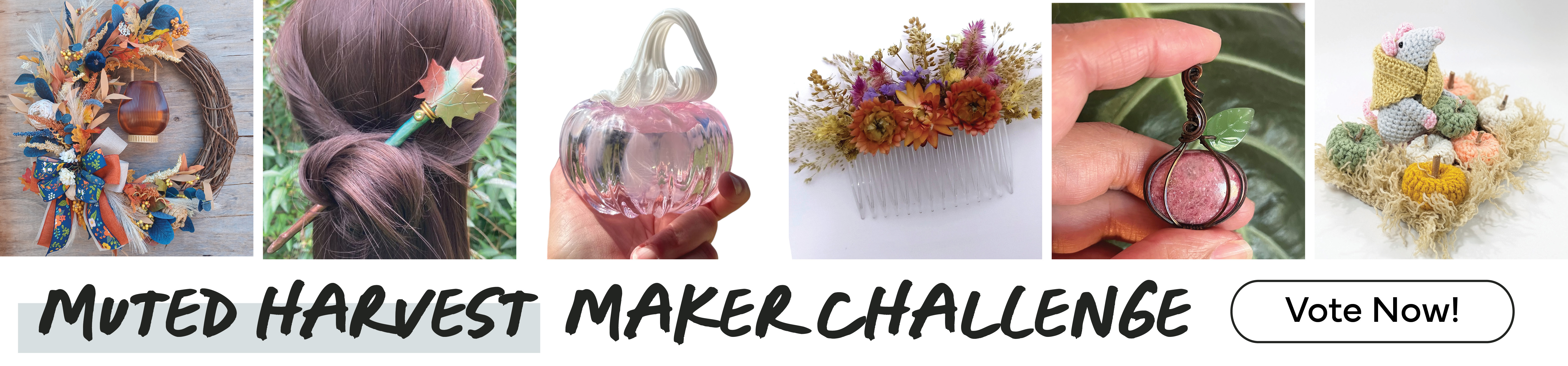 Maker Challenge Top Submissions