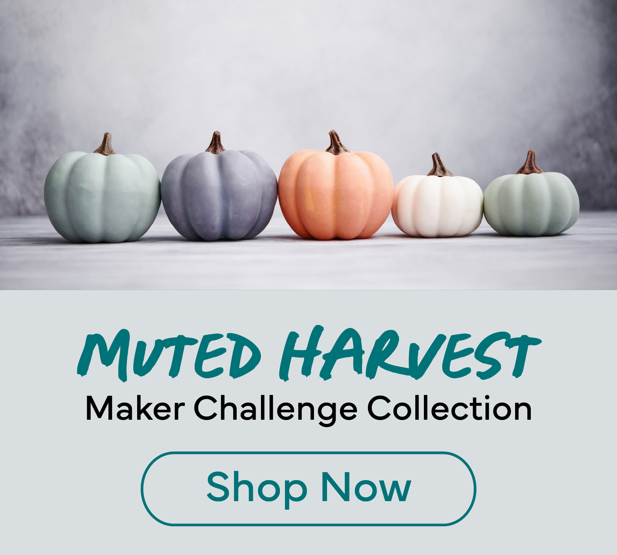 Shop the Maker Challenge Collection