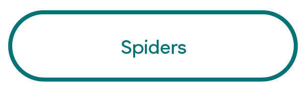 Artisan Made Spider Finds