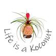 Life is a Koconut