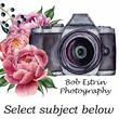 Bob Estrin Photography Bob Estrin Photography
