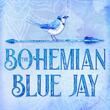 The Bohemian Blue Jay