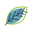 More Than A Branch More Than A Branch