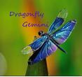 DragonflyGemini DragonflyGemini