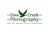 Cove Creek Photography