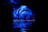 Indigo Rose Artwork