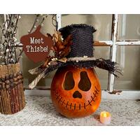 This image shows a fall pumpkin gourd. It is carved by hand and wears a custom black hat. This pumpkin is names Thisbe. 
