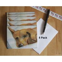 Express yourself with this cute set of 5 blank doggie cards sporting the face of a brown puppy dog reclining on some pillows. Express yourself with this cute set of 5 blank doggie cards sporting the face of a brown puppy dog reclining on some pillows.