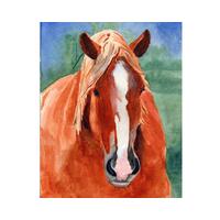 Watercolor painting of a chestnut draft horse. He has a white blaze running down to his pink, greying muzzle. He has kind eyes. Watercolor painting of a chestnut draft horse. He has a white blaze running down to his pink, greying muzzle. He has kind eyes.
