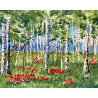 A stand of tall white aspens, with tender green leaves starting their spring hello. These trees are in a grassy, red flowered meadow. A stand of tall white aspens, with tender green leaves starting their spring hello. These trees are in a grassy, red flowered meadow.