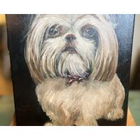 Meet Bella! 9x12 Canvas