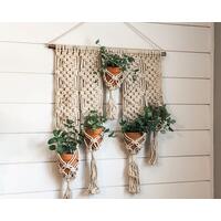 Macrame plant hanger Macrame plant hanger