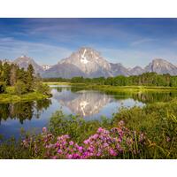 Oxbow Bend in Grand Teton National Park. Mount Moran rising above the snake river, showing a beautiful reflection in the water, with wildflowers in the foreground Oxbow Bend in Grand Teton National Park. Mount Moran rising above the snake river, showing a beautiful reflection in the water, with wildflowers in the foreground