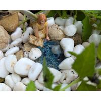 Miniature Fairy Garden Pond, Fairy Pond, Miniature Pond, Fairy Garden Accessory, Miniature Terrarium Pond, Terrarium Pond, Wee Fairy Pond, Terrarium Miniature Pond, Baby Pond for garden, gifts for her, Fairy accessory, Miniature garden pond, wee item Miniature Fairy Garden Pond, Fairy Pond, Miniature Pond, Fairy Garden Accessory, Miniature Terrarium Pond, Terrarium Pond, Wee Fairy Pond, Terrarium Miniature Pond, Baby Pond for garden, gifts for her, Fairy accessory, Miniature garden pond, wee item
