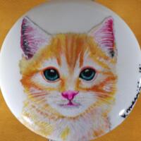 Tiger Cat White Ceramic Top Pet Treat Jar