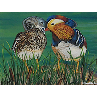 Two Mallard Ducks Painting "This Is Love" Two Mallard Ducks Painting "This Is Love"
