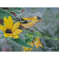 Goldfinch in Sunflowers Painting, "Rays of Sunshine" Goldfinch in Sunflowers Painting, "Rays of Sunshine"