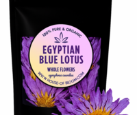 Blue Lotus herbal tea brewing in a glass cup with dried flowers on a wooden background