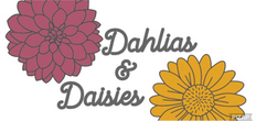Dahlias and Daisies