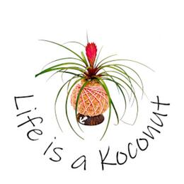 Life is a Koconut