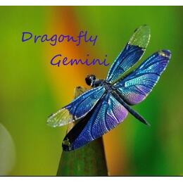 DragonflyGemini DragonflyGemini