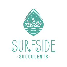 Surfside Succulents
