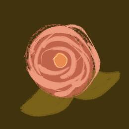 A loose illustration of a pink and orange rose on a dark green background