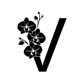 VANDA inspired VANDA inspired