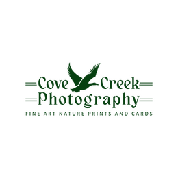 Cove Creek Photography Cove Creek Photography