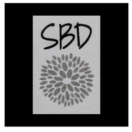 SanjBDesigns SanjBDesigns