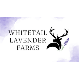 Whitetail Lavender Farms