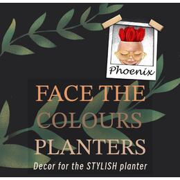 Face the Colours Planters,LLC