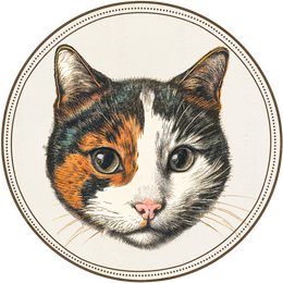Calico Collage