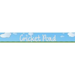 Cricket Pond