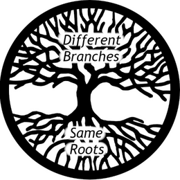 Different Branches LLC