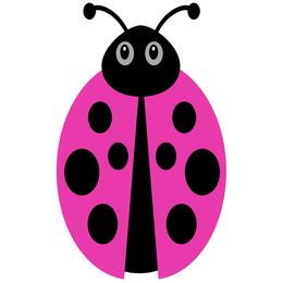 Lil' Bug Clothing