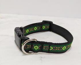 1 inch dog collar in sizes medium or large