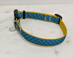 Teal and yellow dog collar