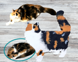 A collage including 2 photos of a fluffy calico cat with mostly orange, black, and white fur, and a photo of a wooden shape painted to look like the cat.