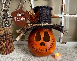 This image shows a fall pumpkin gourd. It is carved by hand and wears a custom black hat. This pumpkin is names Thisbe. 